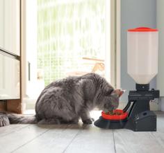 Automatic Dispenser For Cats 3D Printer Model