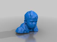 007 3D Printer Model