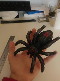 Geocache – Spider 3D Printer Model