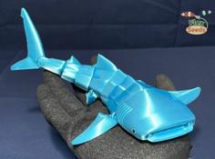 Flexi Whale Shark(Print-in-place) 3D Printer Model