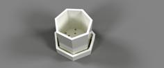 Simple Heptagonal Planter With Tray 3D Printer Model