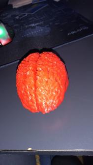 A Brain *REAL* 3D Printer Model