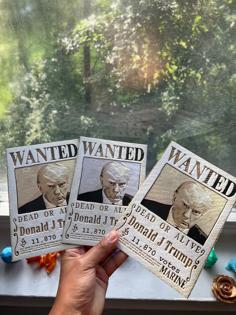 Trump Wanted Poster – One Piece Inspried – Made W/ HueForge 3D Printer Model