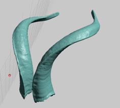 Real Evil Satan Goat Horns, High Resolution Scans 3D Printer Model