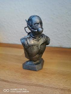 Ant-Man Bust 3D Printer Model