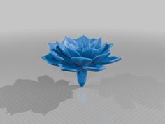 Succulent 3 3D Printer Model