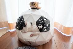 Geodesic Dome Cat House 3D Printer Model