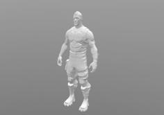 Fortnite: Battlehawk Character 3D Printer Model