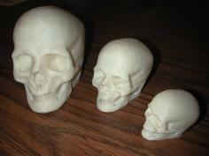 Elvis, The Printable(?) Skull 3D Printer Model