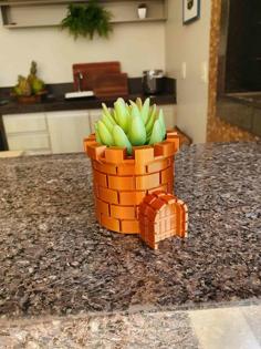 Mario Castle Vase 3D Printer Model