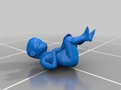 Human Fetus 3D Printer Model