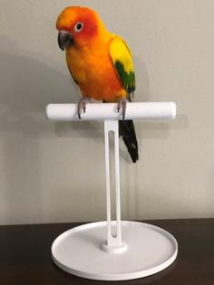 Bird Stand 3D Printer Model