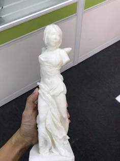 Angel ( 3D Scan ) 3D Printer Model