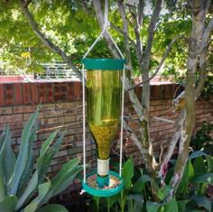 Bird Feeder (Wine Bottle) 3D Printer Model