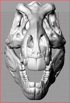 Timmy The Bucktoothed T-Rex Skull 3D Printer Model