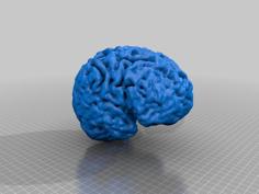 Living Brain 3D Printer Model