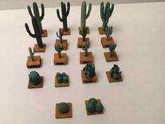 Miniature Cacti Various Families Openlock 3D Printer Model