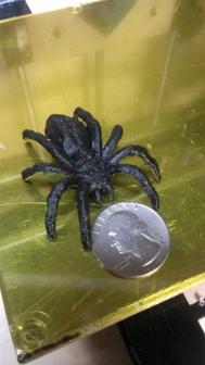 Small Spider 3D Printer Model