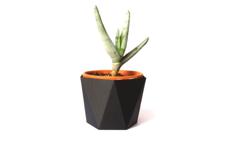 Hexagon Flower Pot #6 3D Printer Model