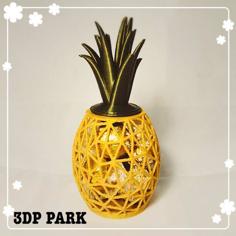 Pineapple Box 3D Printer Model