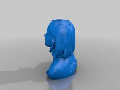 Leila Gamal 3D Printer Model