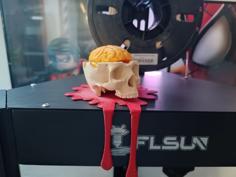 Skull With Removable Brain 3D Printer Model