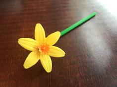 Spring Narcissi 3D Printer Model