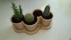 Self Watering Cactus Pot 3D Printer Model