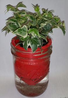 Mason Jar Self-Watering Planter 3D Printer Model