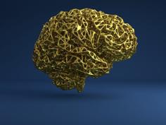 Brain Voronoi Style 3D Printer Model