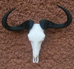 Blue Wildebeest Skull 3D Printer Model