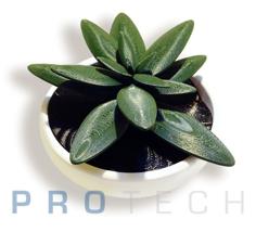 Green Flower In Pot 3D Printer Model