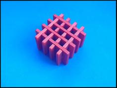 The Lattice Puzzle 3D Printer Model