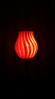 Tulip Lamp 3D Printer Model