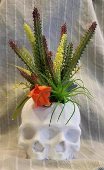 Triclops Skull Planter 3D Printer Model