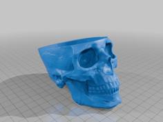 Yet Another Skull Planter 3D Printer Model