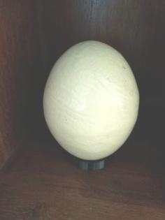 Ostrich Egg Holder 3D Printer Model