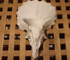 Triceratops Skull 3D Printer Model