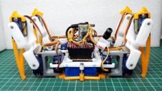 Spider Robot(quad Robot, Quadruped)-SG90 3D Printer Model