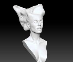 Angel. Wing-Haired Lady 3D Printer Model