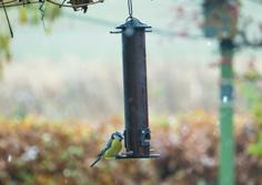 Bird Feeder 3D Printer Model