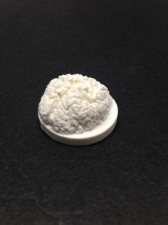 Pinypon Brain 3D Printer Model