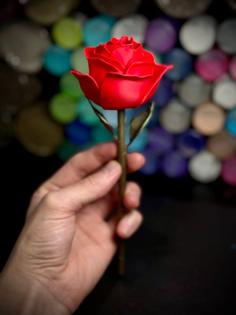 Rose 3D Printer Model