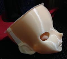 Tda Head For Thing:1750029 3D Printer Model