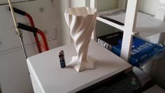 Vaso6 3D Printer Model