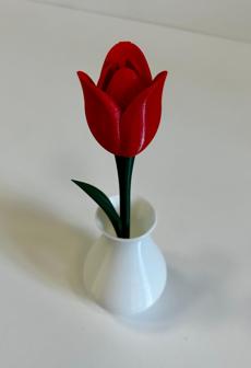 Tulip Flower With Stem Stand & Vase 3D Printer Model