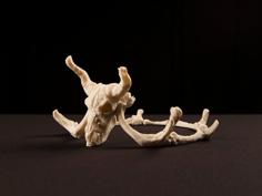 Storied Skulls Crown And Tiara 3D Printer Model