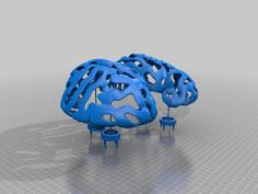 Brain Trellis 3D Printer Model