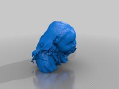 Freya 3D Printer Model