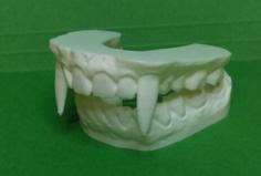 Vampire Teeth Dental Model For Halloween (2 Piece – No Supports) 3D Printer Model